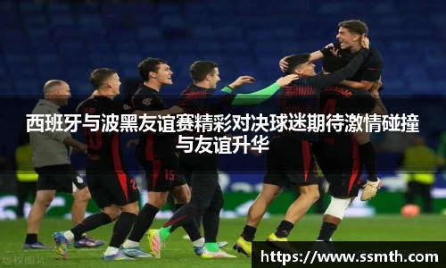 西班牙与波黑友谊赛精彩对决球迷期待激情碰撞与友谊升华